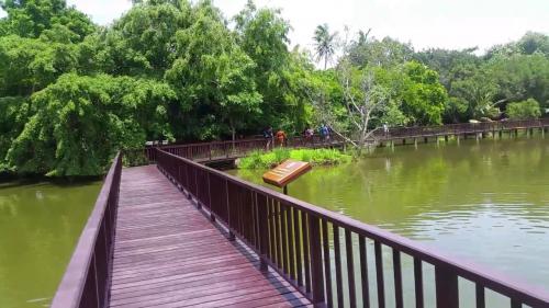 สวนศรีนครเขื่อนขันธ์ (Srinakorn Khuaenkhan Park)